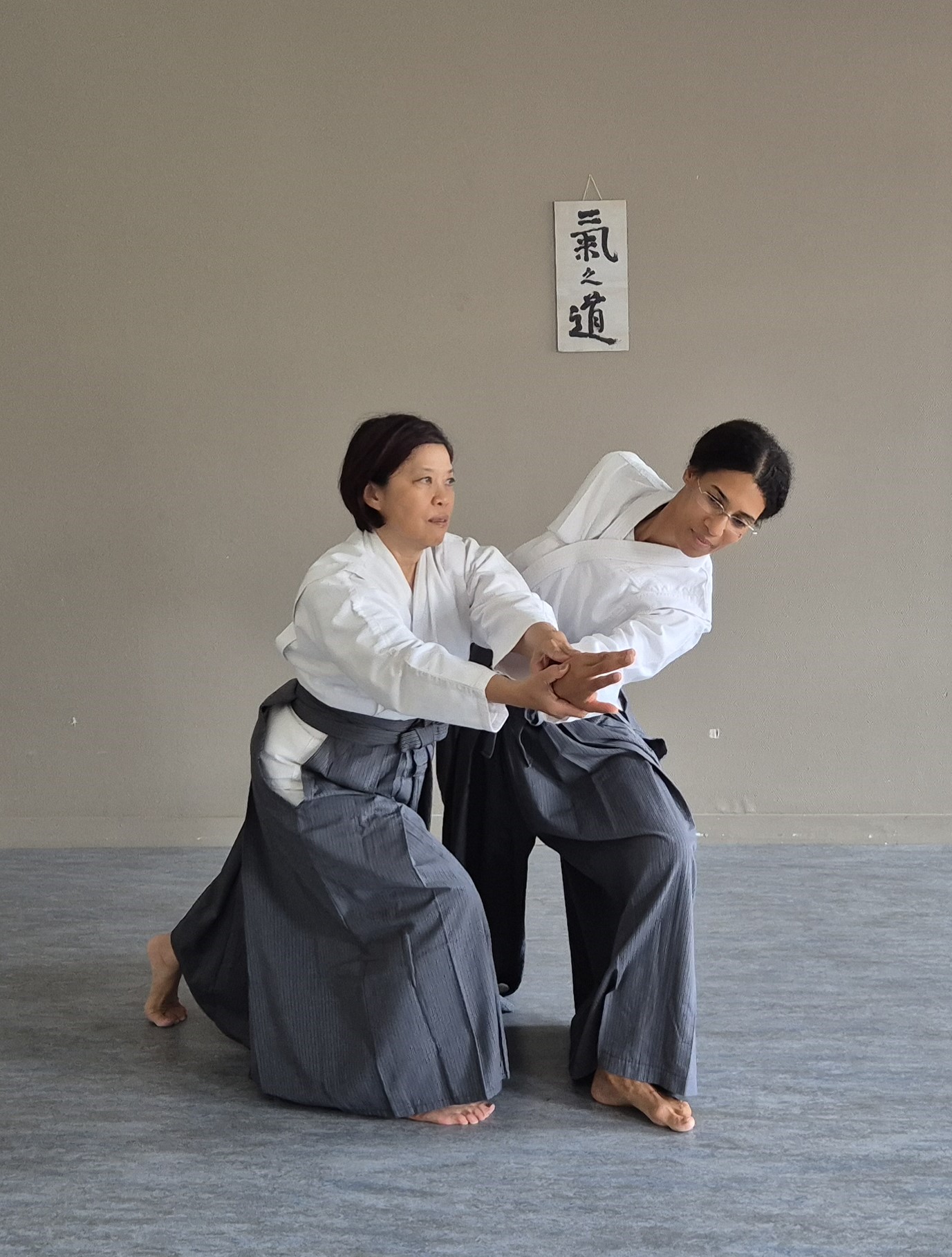 Pratique du Kinomichi en duo