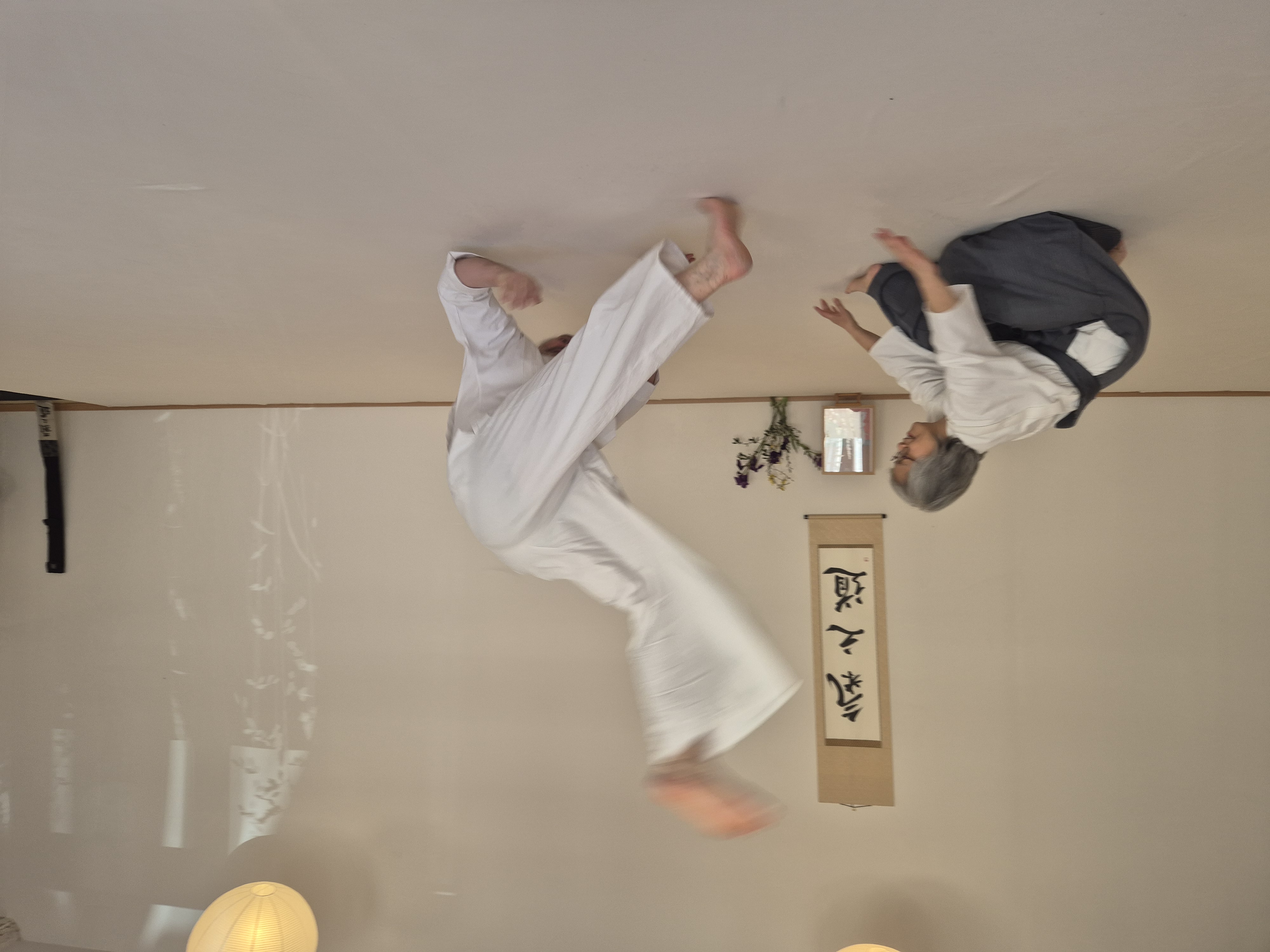 Kinomichi – chute en douceur